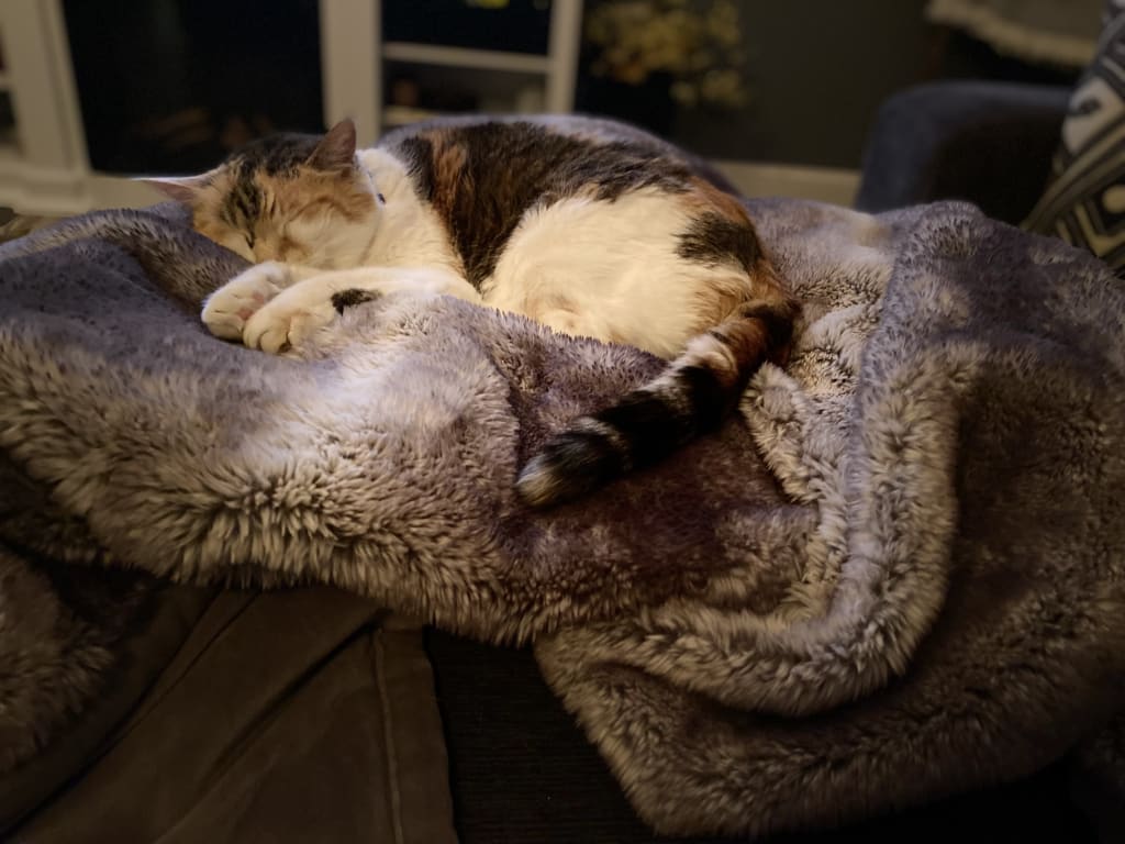 user uploaded review image1 , graphic