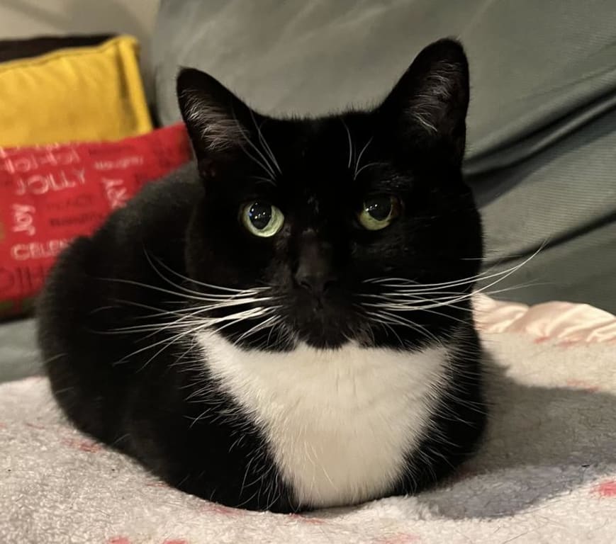 user uploaded review image2 , graphic