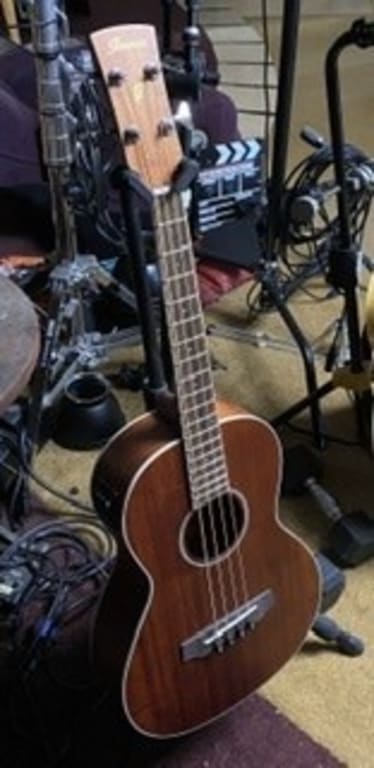 Ibanez PNB14E Parlor Acoustic-Electric Bass Guitar Natural