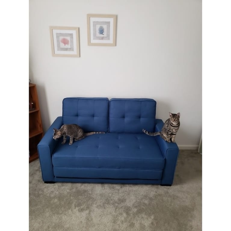 Daisy Modern Fabric Loveseat and Sofa Bed On Sale Bed Bath & Beyond