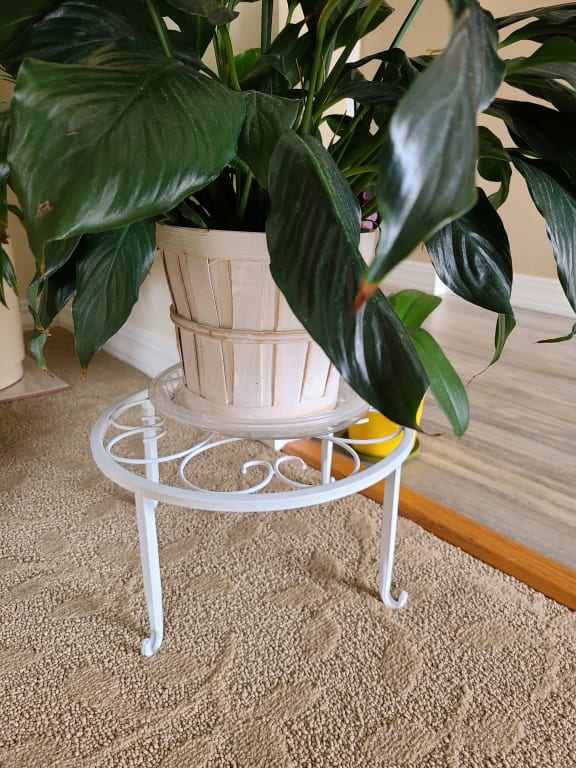 White Plant Riser, Large | At Home