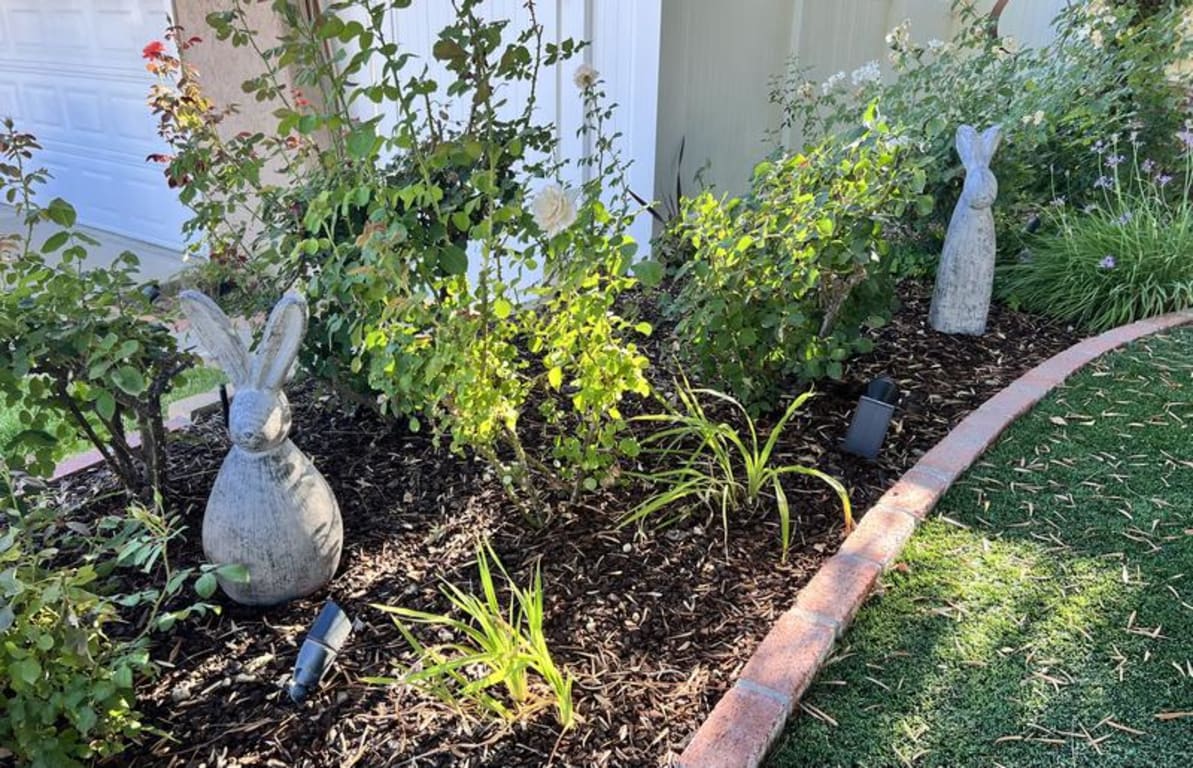 Design Toscano Big Burly Bunnies Rabbit Statues (Set of 2) - Bed Bath ...