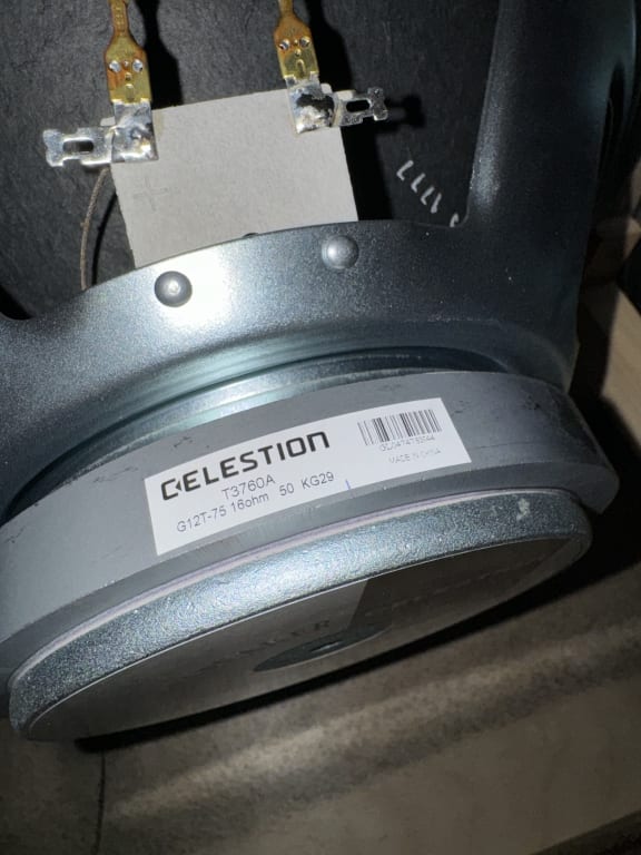 安藤健二　Killer marshall Marshall 1936 2x12 Cabinet | Guitar Center