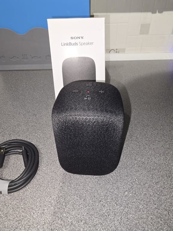 Sony SRS-LS1 LinkBuds Speaker Bluetooth Portable Speaker, Black