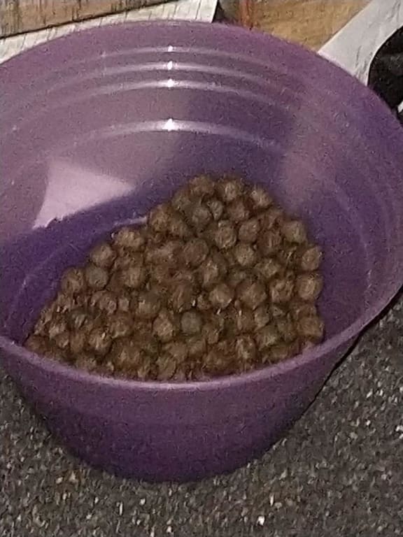 user uploaded review image1 , graphic