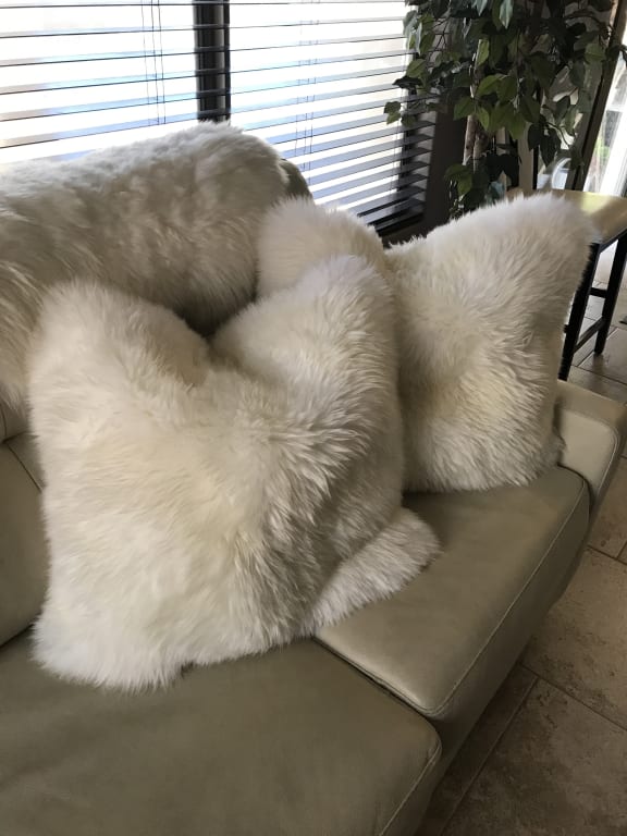 Customer Image Captioned: Addicted to Sheep Pelts!