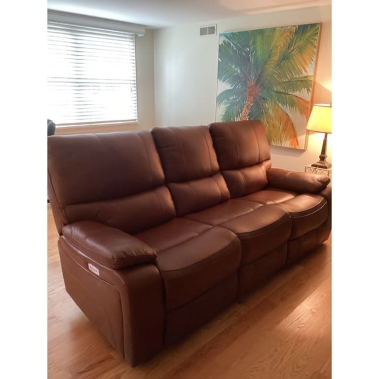 Abbyson Browning Top Grain Leather Power Reclining Sofa with USB Bed