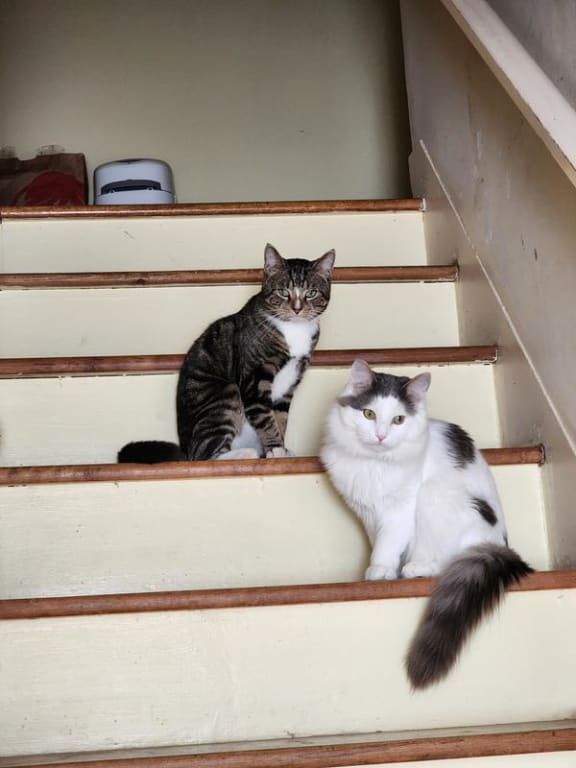 user uploaded review image2 , graphic