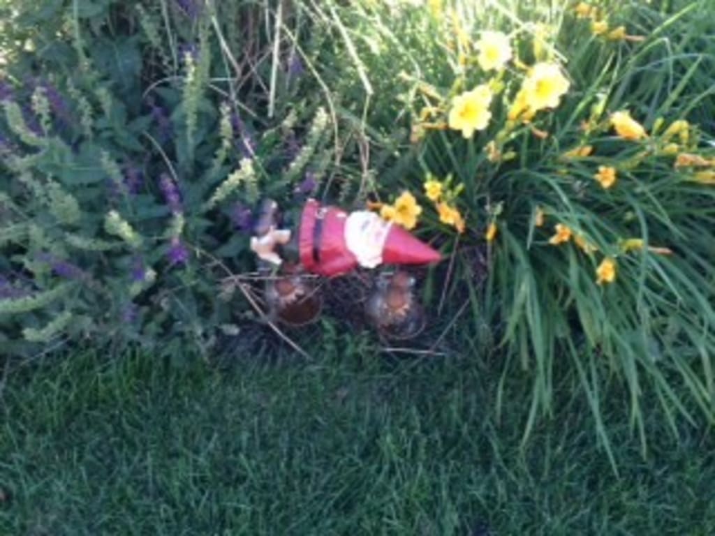 Gnome-Be-Gones With Gnome from Uncommon Goods. Customer submitted image.