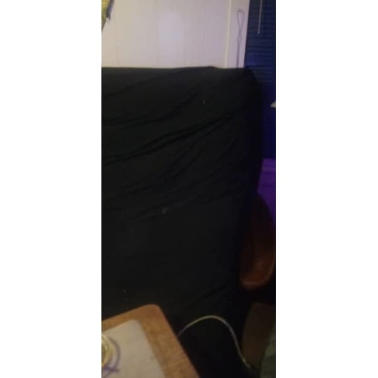 Loosh Home 12" Canvas Futon Mattress On Sale Bed Bath & Beyond