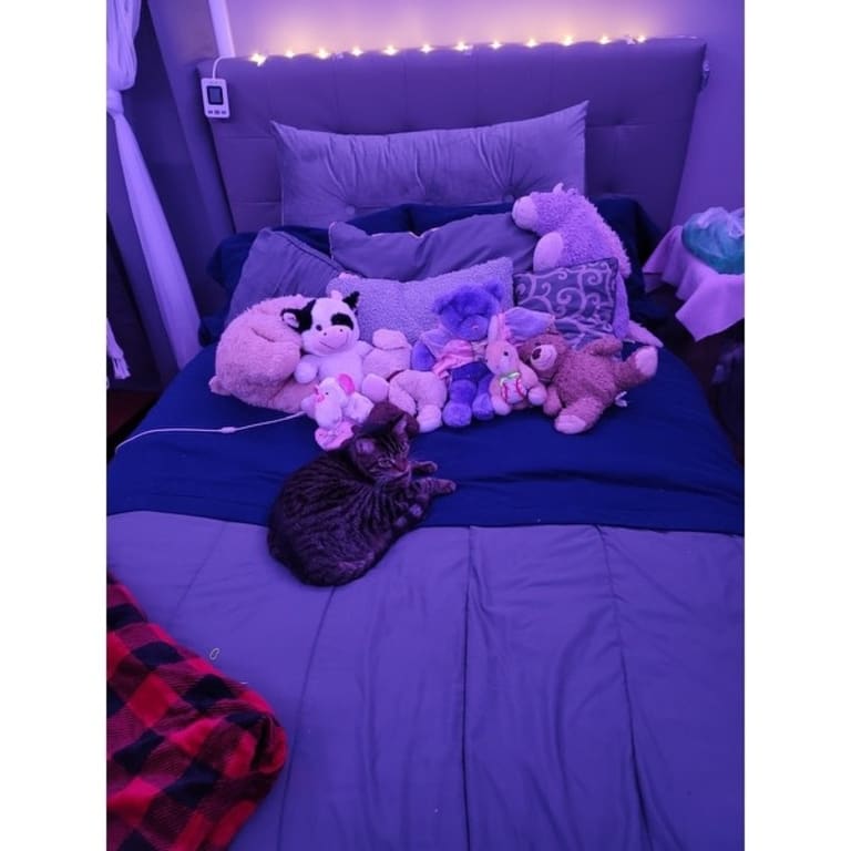 Alta Microfleece Bed Sheet Sets Bed Bath & Beyond 26051164