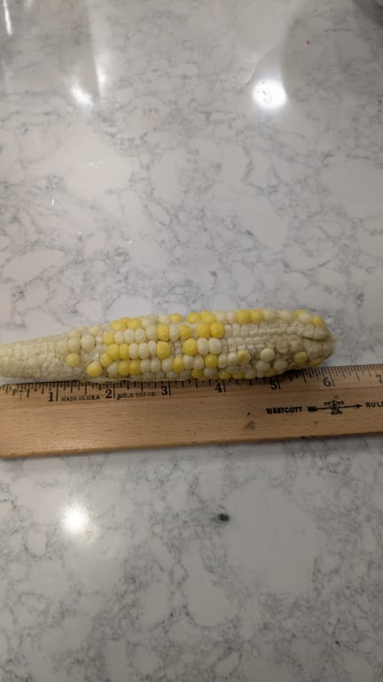 user uploaded review image4 , graphic