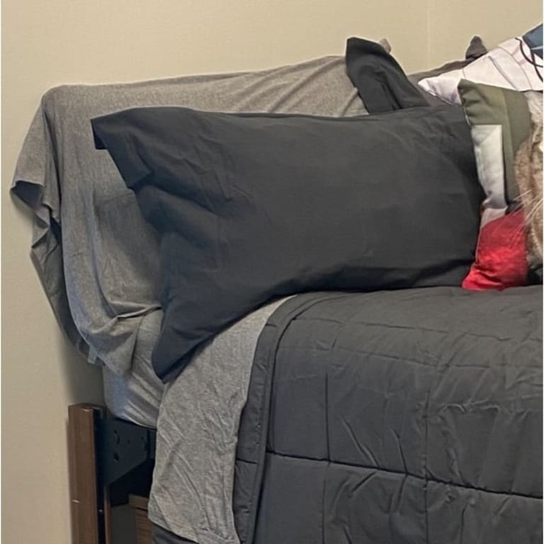 Exclusive Fabrics 100 Combed Cotton Jersey Pillow Case Set with Aloe