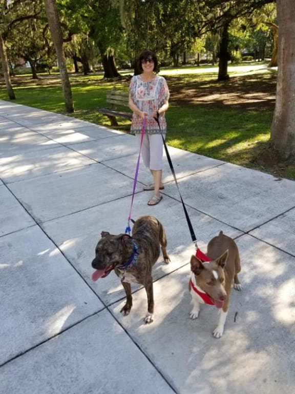 user uploaded review image2 , graphic