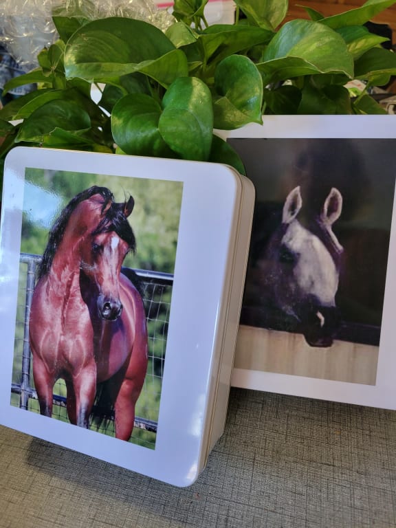 I will definitely order these again.