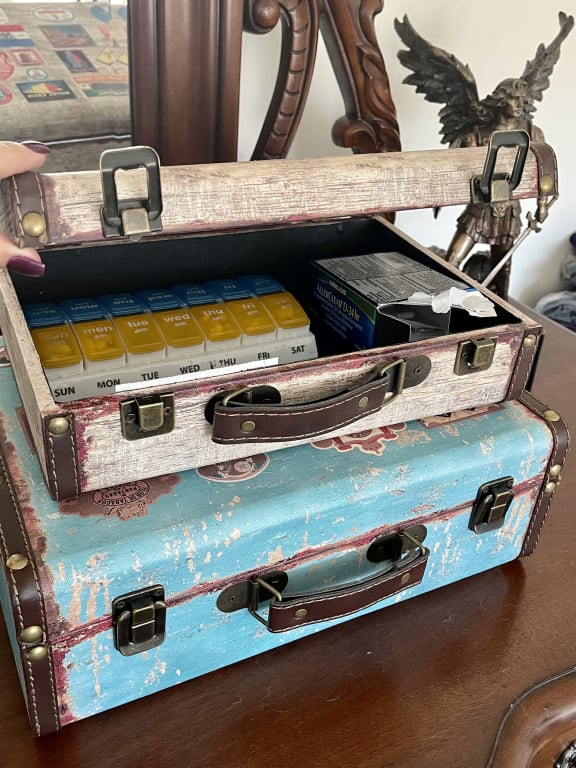 Vintage Vertical Suitcase (Monrovia) - Knot Too Shabby Furnishings