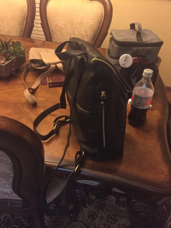 Florence Argentine Leather Backpack Purse | Overland