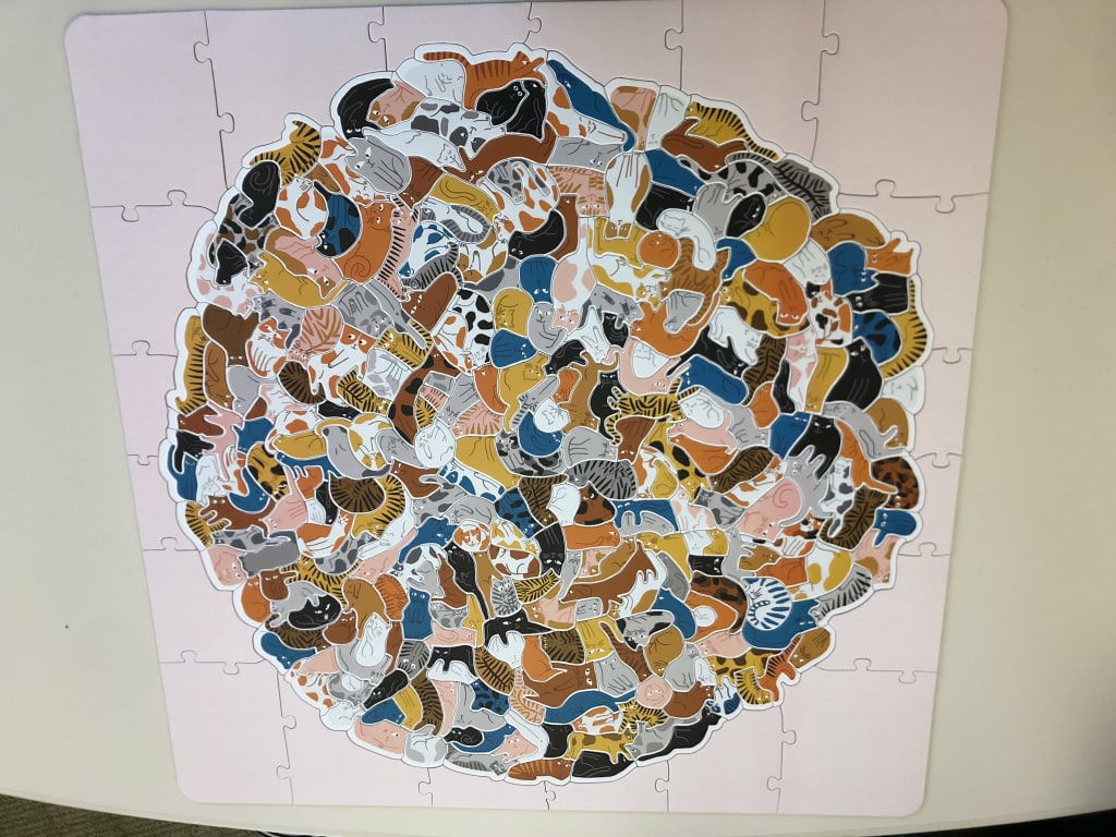 299 Cats & a Dog Puzzle from Uncommon Goods. Customer submitted image.