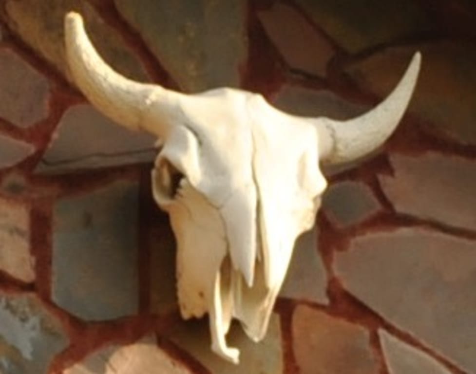 Customer Image Captioned: The West