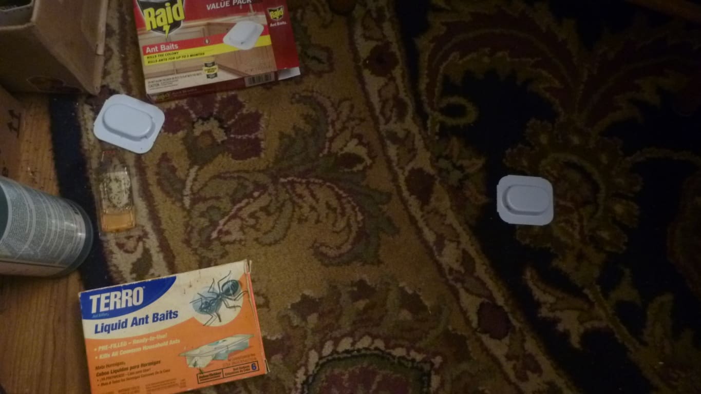 user uploaded review image1 , graphic