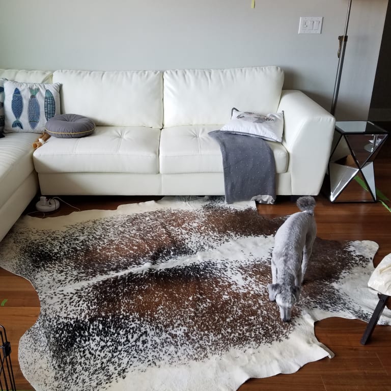 Customer Image Captioned: Speckled, tricolor cowhide. It will bring interest, pattern, and texture to the finished room.