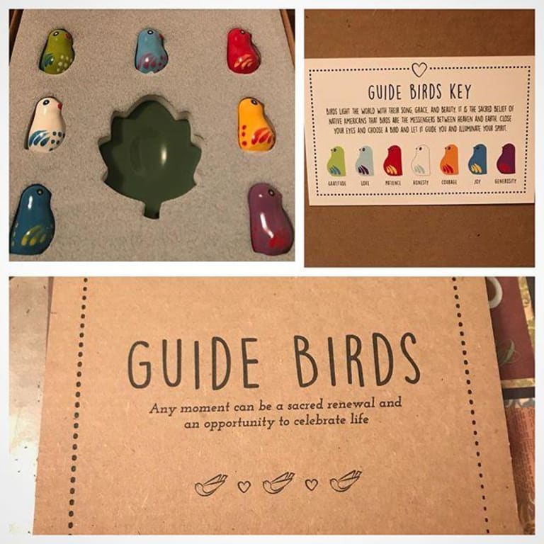 Guide Birds