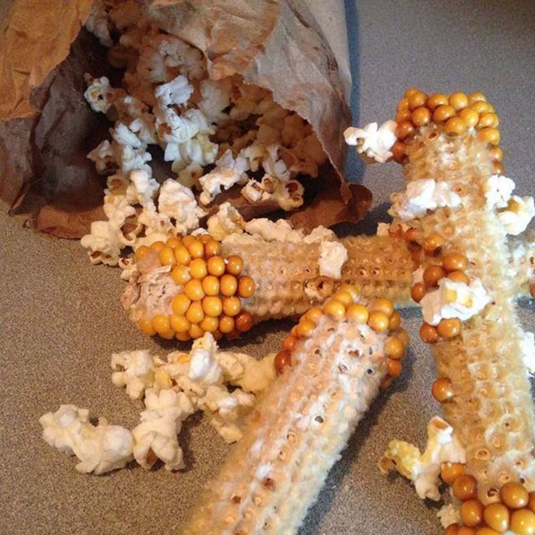 Popcorn on the Cob from Uncommon Goods. Customer submitted image.