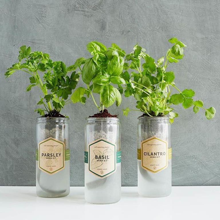 Kitchen Essentials Herb Planter from Uncommon Goods. Customer submitted image.