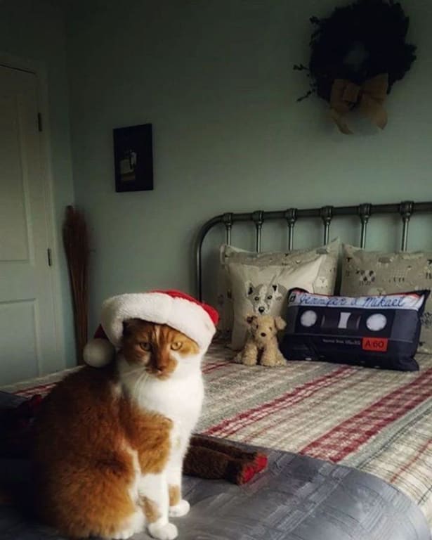 Personalized Mixtape Pillow from Uncommon Goods. Customer submitted image.
