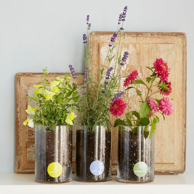 Birth Month Flower Grow Kit from Uncommon Goods. Customer submitted image.