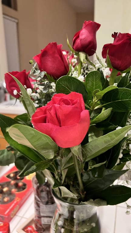 user uploaded review image4 , graphic