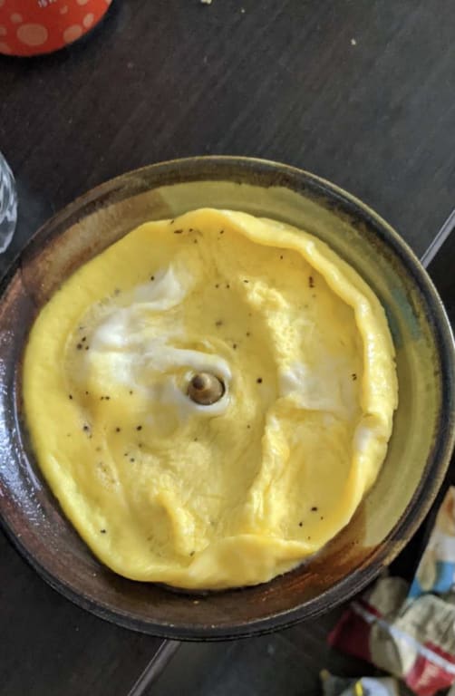 45 Second Omelet Maker from Uncommon Goods. Customer submitted image.
