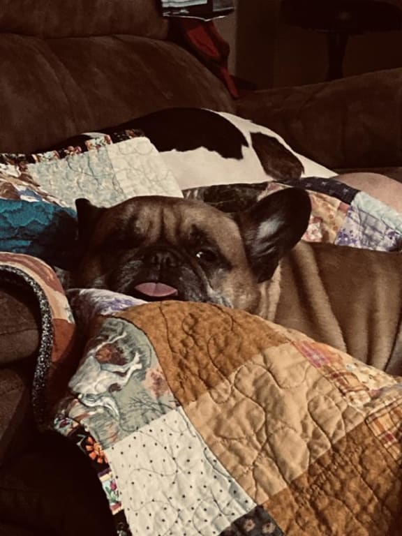 user uploaded review image2 , graphic