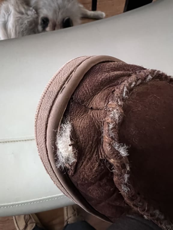 Customer Image Captioned: Torn seam right foot
