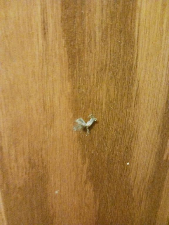 user uploaded review image4 , graphic