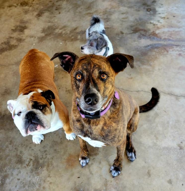 user uploaded review image4 , graphic