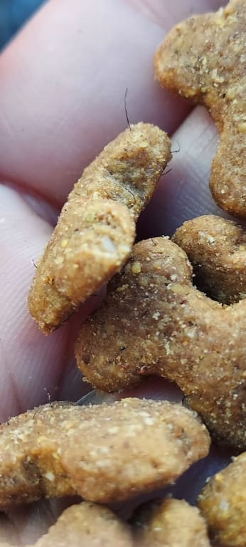 user uploaded review image1 , graphic