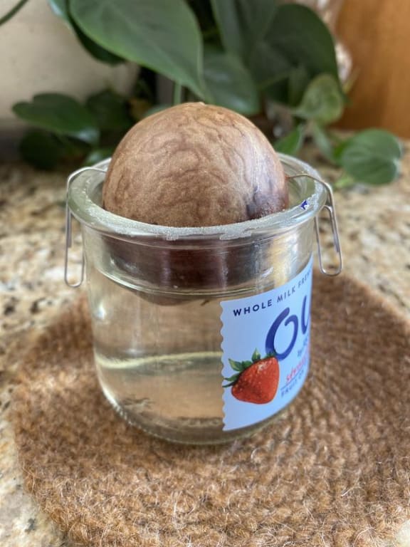 user uploaded review image1 , graphic