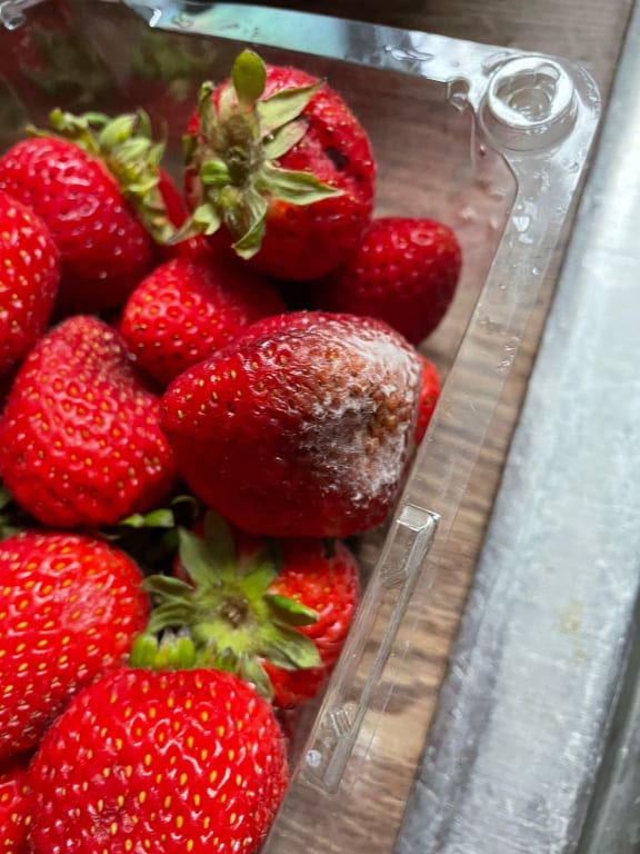 user uploaded review image3 , graphic