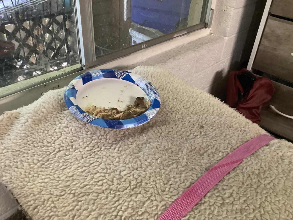 user uploaded review image1 , graphic