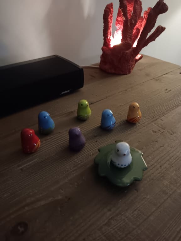 Guide Birds from Uncommon Goods. Customer submitted image.