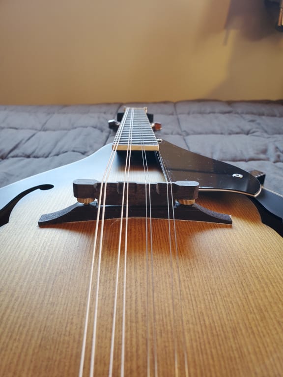 ibanez アイバニーズ マンドリン M510DVS 海外インポート ケース付 Amazon.com: Ibanez M510OVS Acoustic Mandolin in Vintage Sunburst