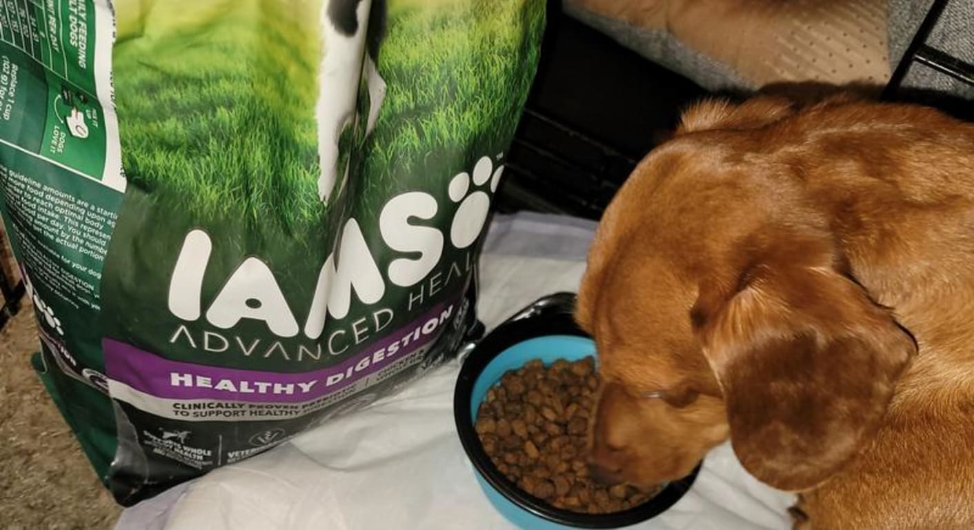 user uploaded review image2 , graphic