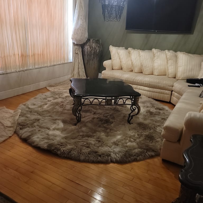 Customer Image Captioned: AREA RUG