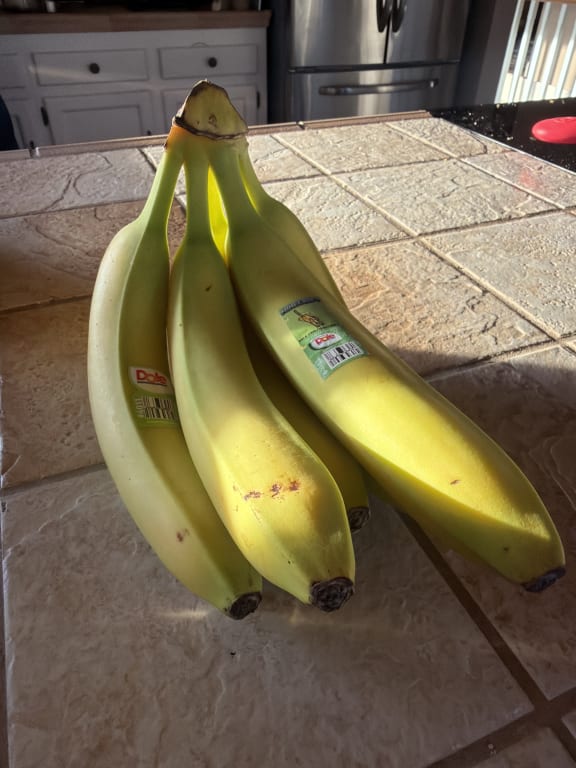 user uploaded review image2 , graphic