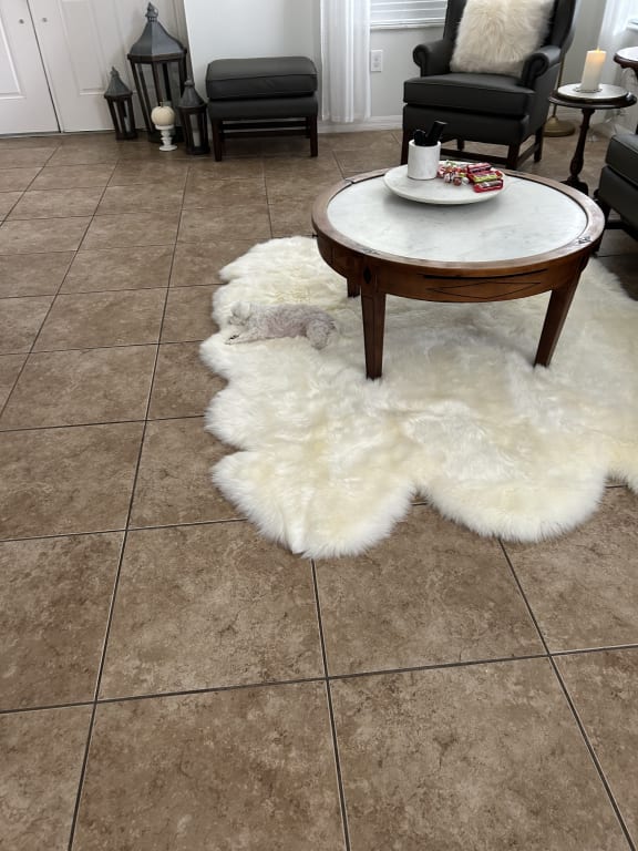 Customer Image Captioned: Julia already sound asleep in our new rug