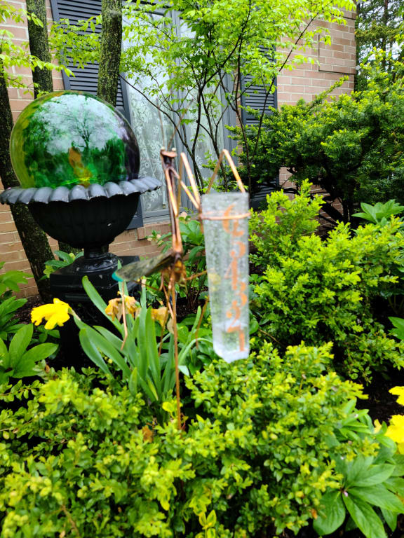 Praying Mantis Rain Gauge from Uncommon Goods. Customer submitted image.