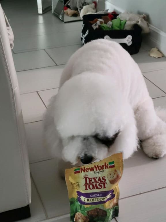 user uploaded review image1 , graphic