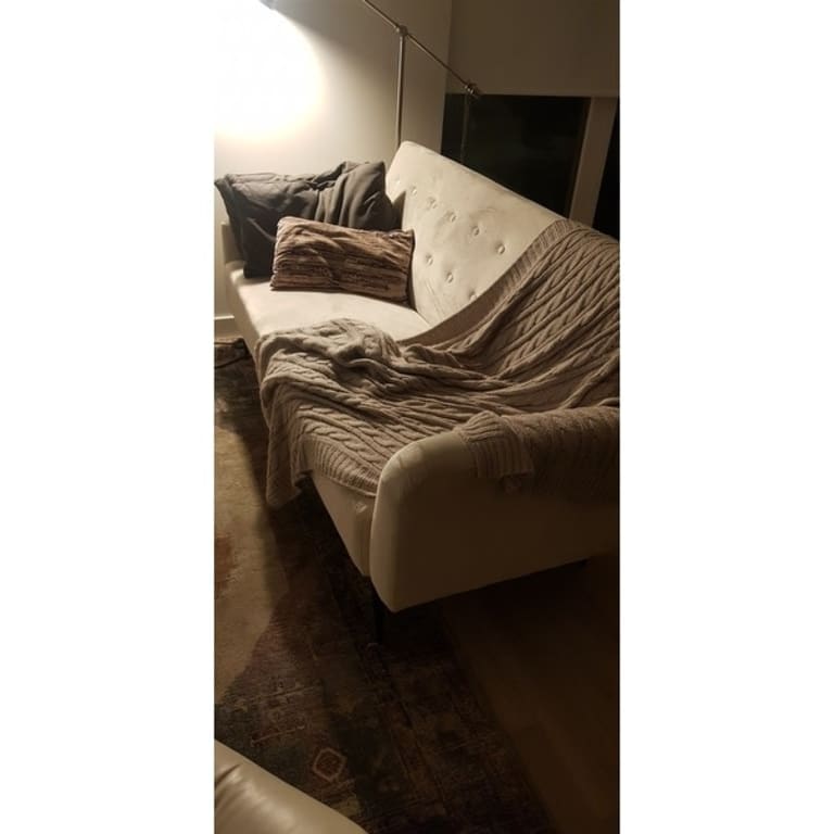 Z by The Novogratz Stevie Futon Convertible Sofa Bed Couch Bed Bath