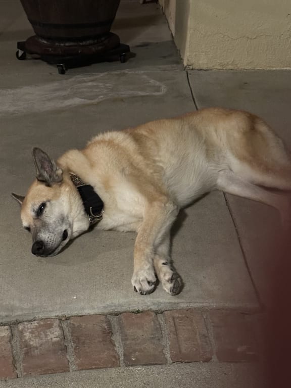 user uploaded review image1 , graphic